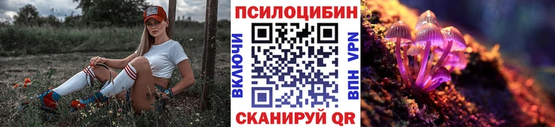 Купить закладки  Минусинск  Псилоцибиновые грибы Psilocybe 